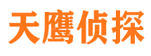 汝阳侦探公司